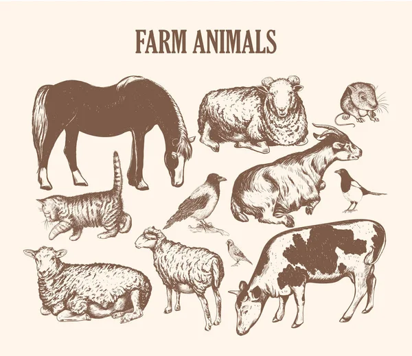 Animais de fazenda esboço mão desenho . —  Vetores de Stock