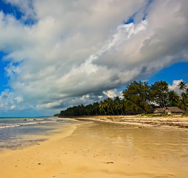 Picturesque coast Diani — Stock Photo, Image