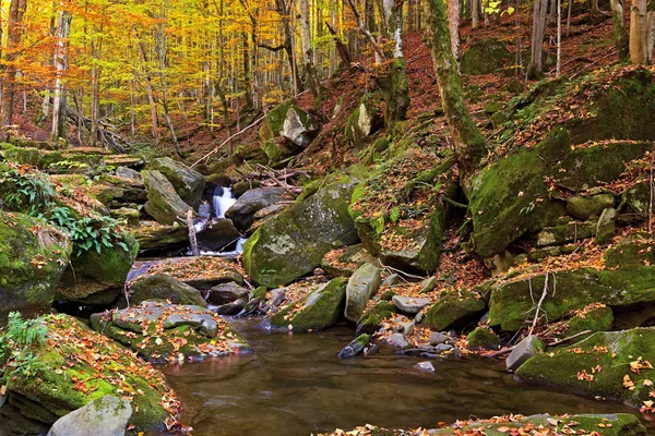 Podzimní krajina v lese — Stock fotografie