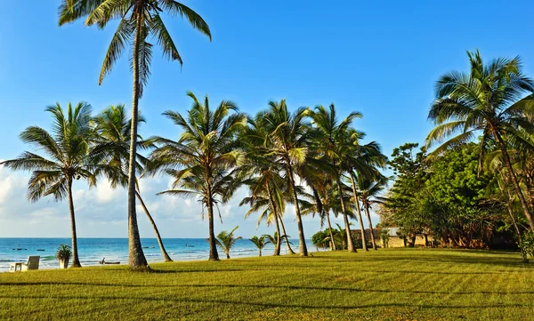 Schilderachtige kust Diani — Stockfoto