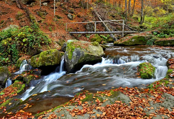 Podzimní krajina v lese — Stock fotografie