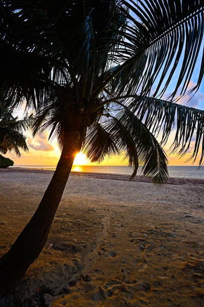 Costa da noite Diani — Fotografia de Stock