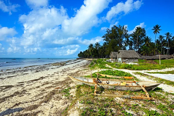 Pintoresca costa Diani —  Fotos de Stock