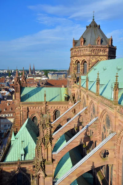 Strasbourg cathedrale, Frankrig - Stock-foto