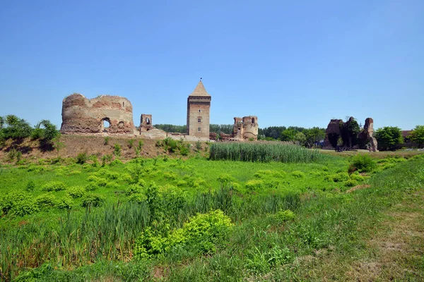 Bac Σερβία Ιουνίου Ερείπια Του Μεσαιωνικού Κάστρου Bac Που Ιδρύθηκε — Φωτογραφία Αρχείου
