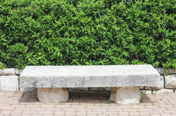 Stone bench in the garden against a green wall of bushes