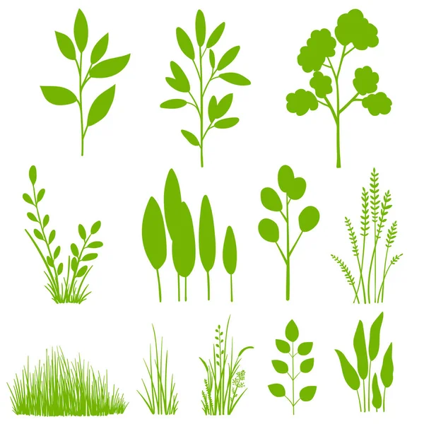 Conjunto de plantas y hojas — Vector de stock