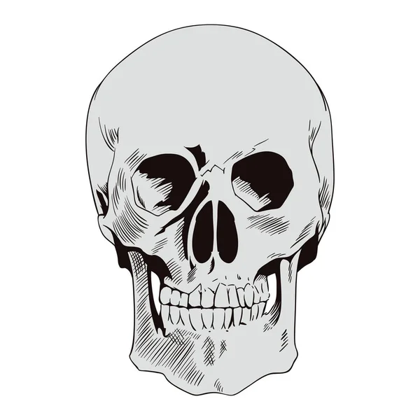 Crâne. Illustration dans un style rétro . — Image vectorielle