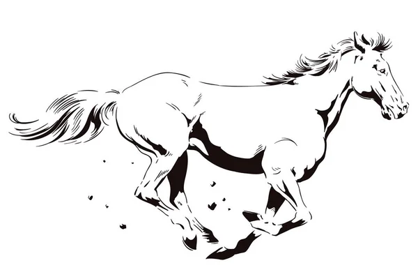 Koňovi tryskem. Skladem ilustrace. — Stockový vektor