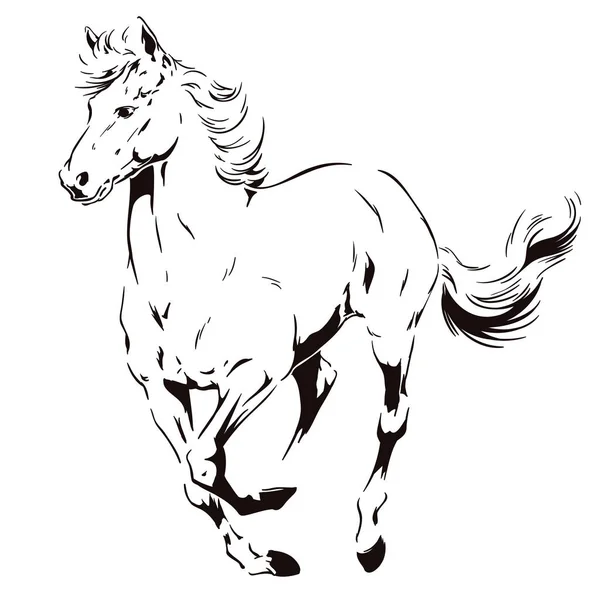 Koňovi tryskem. Skladem ilustrace. — Stockový vektor