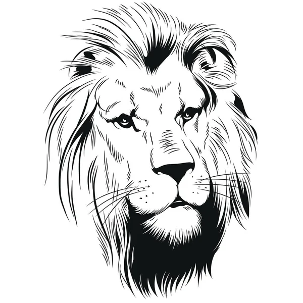 Голова лева. Король звірів . — стоковий вектор