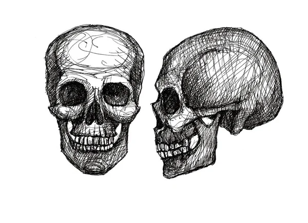 Crânio humano, ilustração em preto e branco — Fotografia de Stock