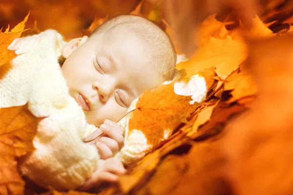 El bebé recién nacido de otoño duerme, el niño recién nacido duerme en hojas de otoño — Foto de Stock
