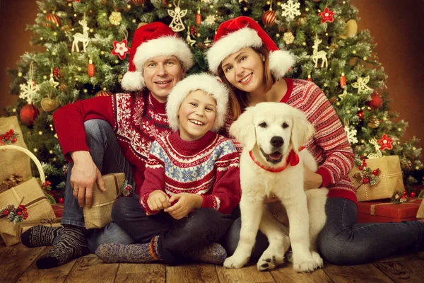 Boże Narodzenie rodziny z psem, szczęśliwy ojciec matka dziecka portret, Boże Narodzenie drzewo — Zdjęcie stockowe