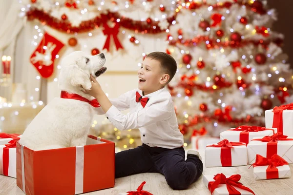 Dítě dostává vánoční pes štěně přítomen, šťastné dítě chlapec, vánoční strom — Stock fotografie