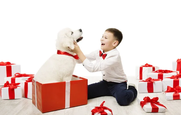 Regalo de perro y niño, Niño feliz con mascota animal blanco en caja de regalo — Foto de Stock