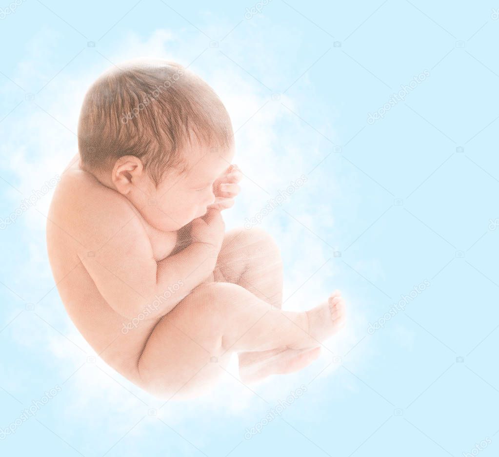 Newborn Baby Fetus, New Born Child Sleep in Embryo Pose, Unborn Kid over Blue Background
