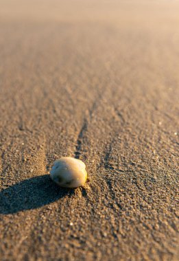 Kumsalda çakıl taşı