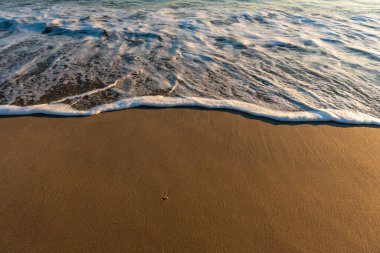 Islak sahil kumu ve okyanus gelgiti