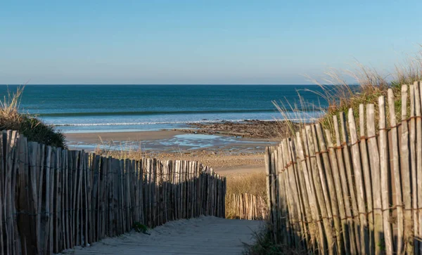 Sendero Rodeado Empalizada Madera Que Conduce Playa —  Fotos de Stock