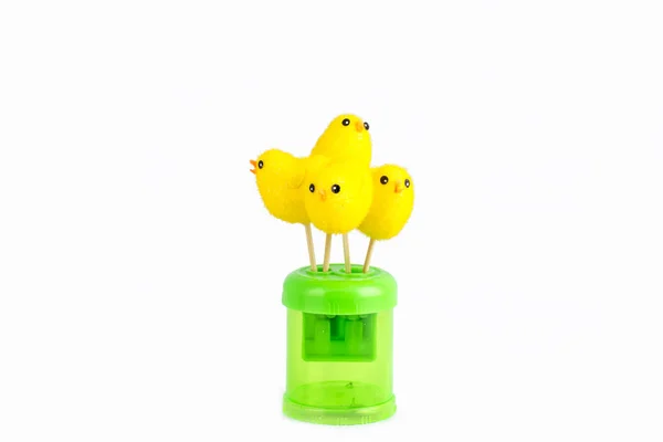 izole sarı Paskalya Chicks