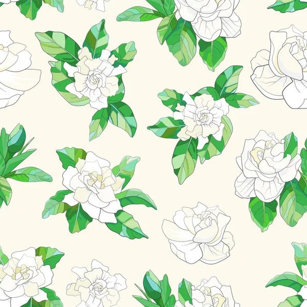 Gardenia seamless pattern — Stock Vector