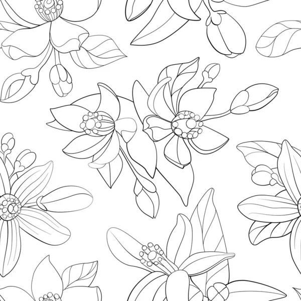 Fleur Orange Flowers Seamless Monochrome Line Pattern Векторный Иллюстрационный Фон — стоковый вектор