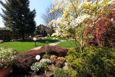 Baharda çiçek bahçesi