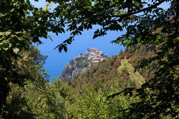 Panorama Aldea Corniglia Cinque Terre — Foto de Stock