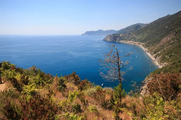 Güzel deniz manzarası