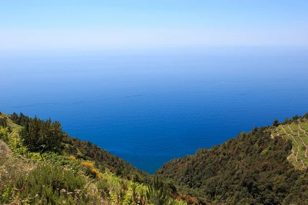 辛克地窖的葡萄园在背景下是Corniglia村 — 图库照片