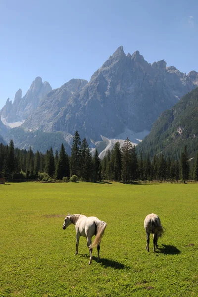 Val Fiscalina - Dolomity Sesto — Zdjęcie stockowe