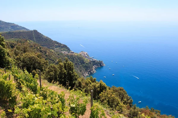 Una Hermosa Vista Cinque Terre — Foto de Stock