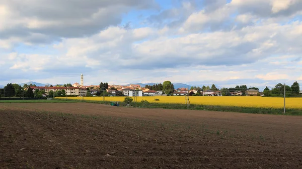 Blühendes Rapsfeld Hintergrund Das Dorf Guanzate Como — Stockfoto