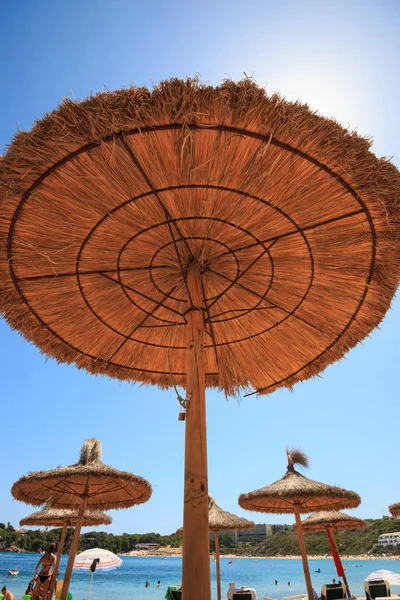ビーチにあるわら傘 — ストック写真