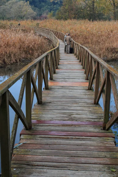 Personas Puente Madera Sobre Lago —  Fotos de Stock