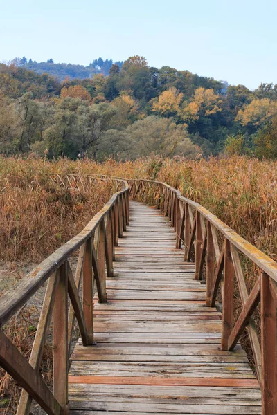 Gölün Üzerindeki Tahta Köprü — Stok fotoğraf