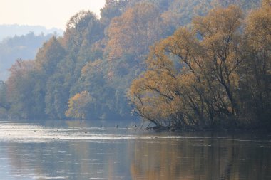 Ağaçlar ve nehirlerle dolu sonbahar manzarası