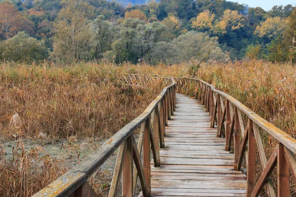 Houten Brug Het Meer — Stockfoto