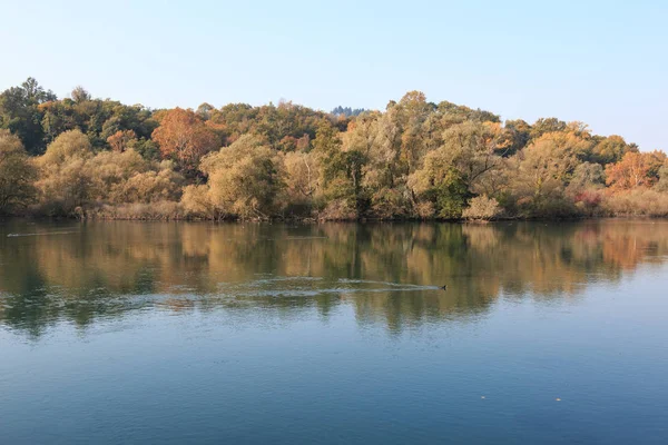 Bellissimo Paesaggio Autunnale Dell Alberone Autunno — Foto Stock