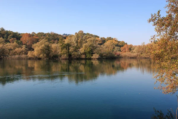 Bellissimo Paesaggio Autunnale Dell Alberone Autunno — Foto Stock