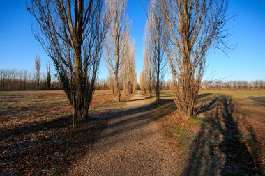 Bisiklet yolu Lura Park - Lomazzo (Como)