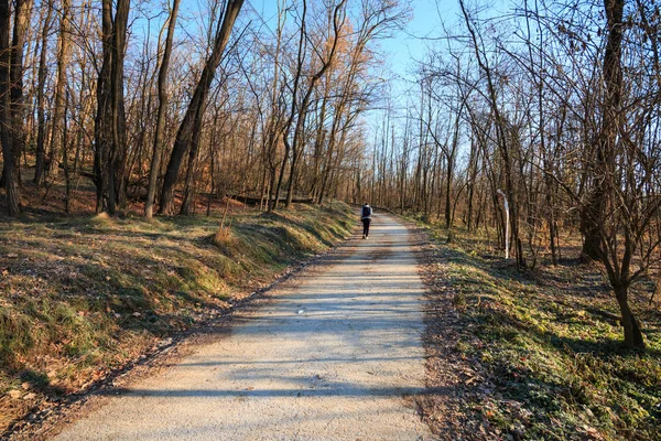 Fietsroute Het Lura Park Lomazzo Como — Stockfoto