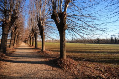 Bisiklet yolu Lura Park - Lomazzo (Como)