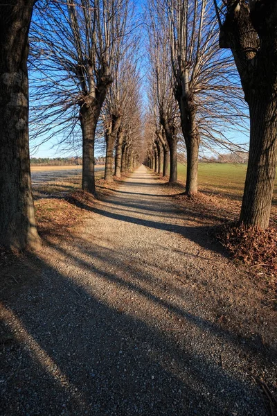 Bisiklet yolu Lura Park - Lomazzo (Como)