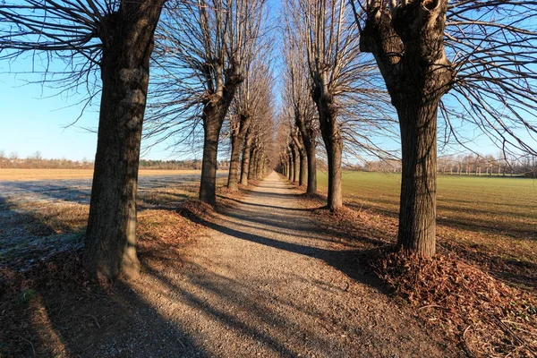 Bisiklet yolu Lura Park - Lomazzo (Como)
