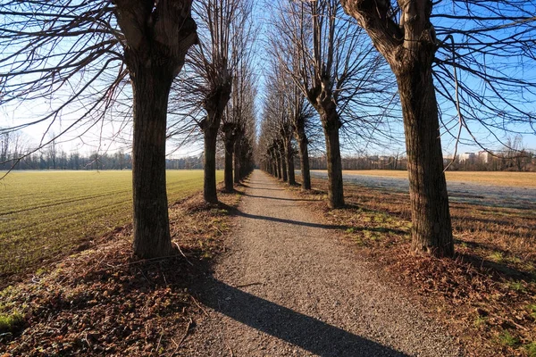 Fietsroute Het Lura Park Lomazzo Como — Stockfoto