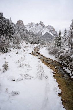 sel Canali kışın - Val Canali, Paneveggio doğal park (Trentino)