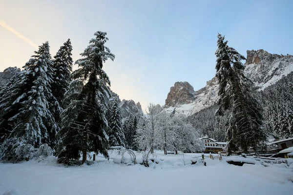 Cant Del Gal Val Canali Parque Natural Paneveggio Fondo Sass — Foto de Stock