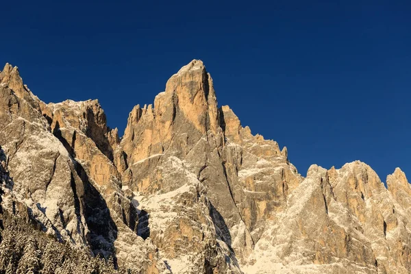 Sass Maor Pale San Martino Grupp Fotograferad Från Val Canali — Stockfoto